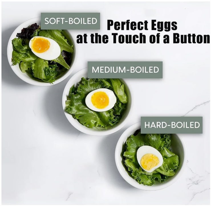 Feed the Whole Family